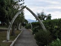 Albums/20060200-New Zealand 2006/20060318-Kaikiura/51